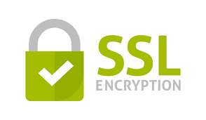 SSL Lookup